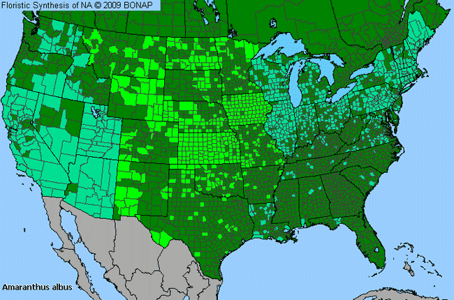 Allergies By County Map For Tumbleweed