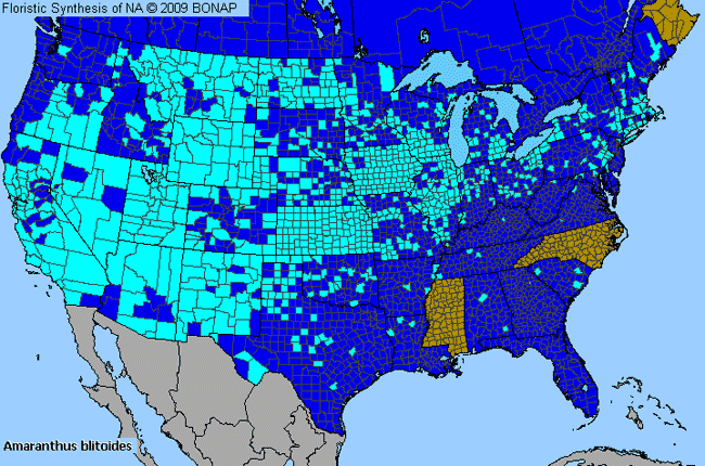 Allergies By County Map For Mat Amaranth