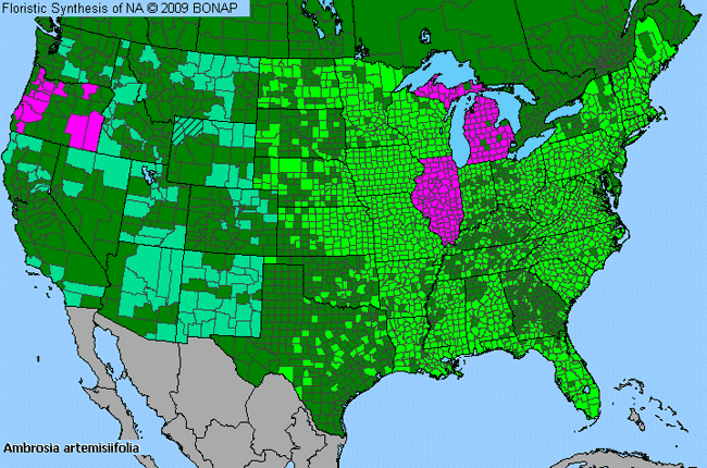 Allergies By County Map For Annual Ragweed