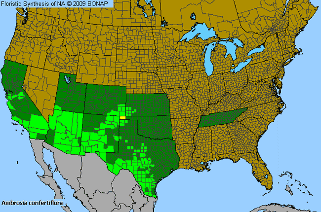 Allergies By County Map For Weak-Leaf Burr-Ragweed