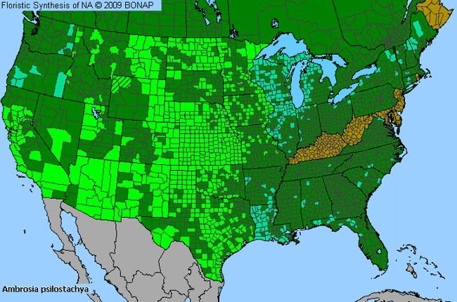 Allergies By County Map For Perennial Ragweed