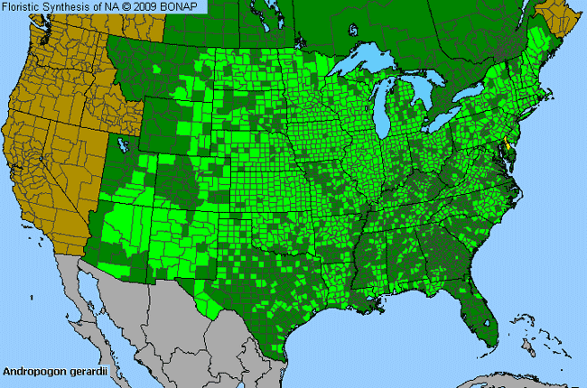 Allergies By County Map For Big Bluestem