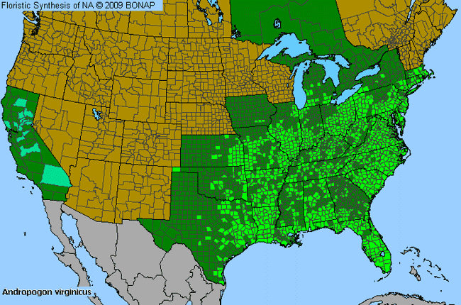 Allergies By County Map For Broom-Sedge