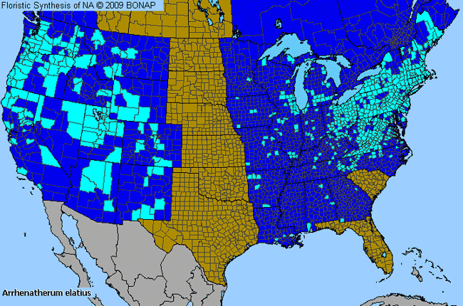 Allergies By County Map For Tall Oat Grass