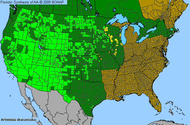 Allergies By County Map For Dragon Wormwood