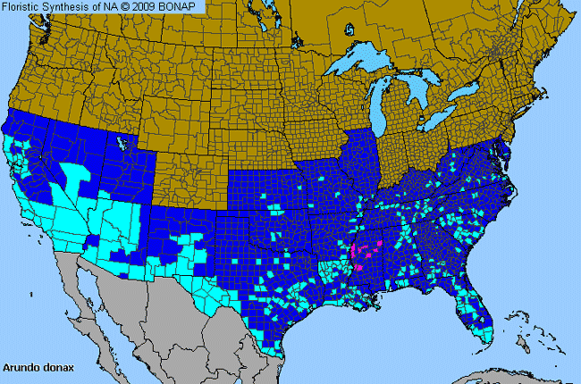 Allergies By County Map For Giant-Reed