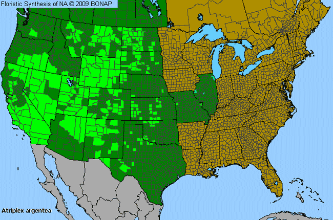 Allergies By County Map For Silverscale