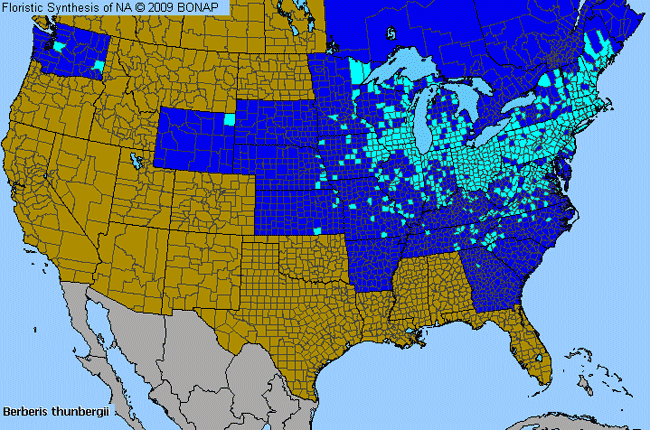 Allergies By County Map For Japanese Barberry