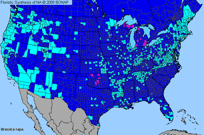 Allergies By County Map For Rape