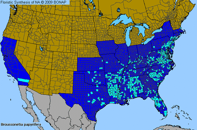 Allergies By County Map For Paper-Mulberry