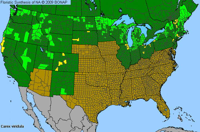 Allergies By County Map For Little Green Sedge