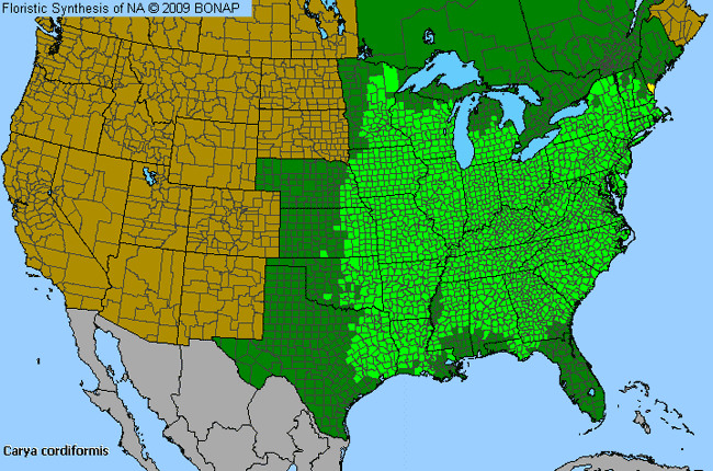 Allergies By County Map For Bitter-Nut Hickory