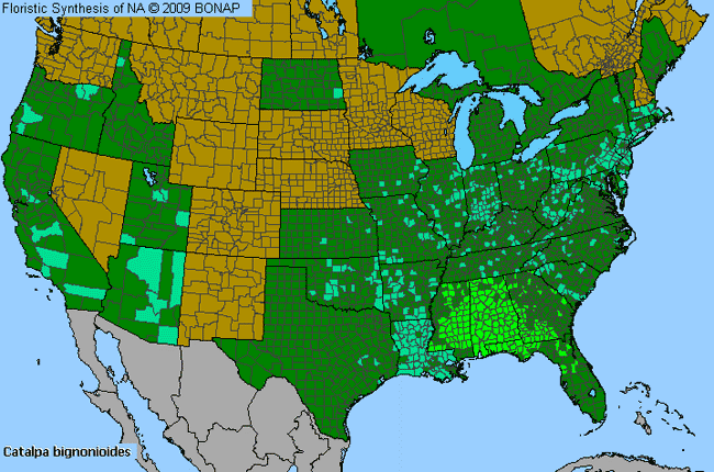Allergies By County Map For Southern Catalpa