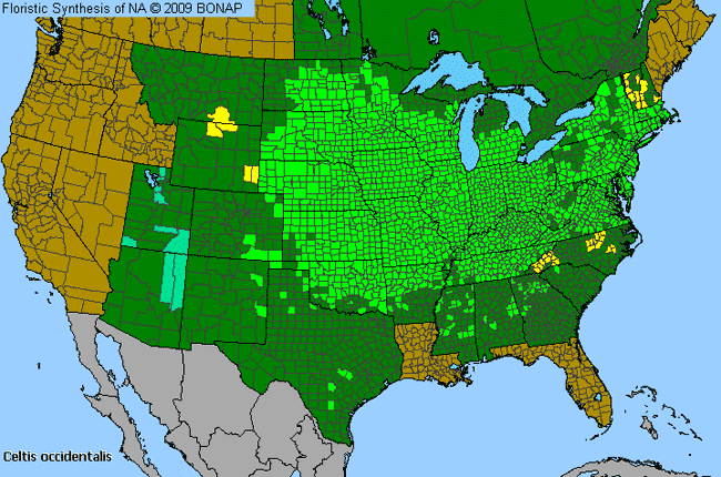 Allergies By County Map For Common Hackberry