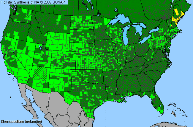 Allergies By County Map For Pit-Seed Goosefoot