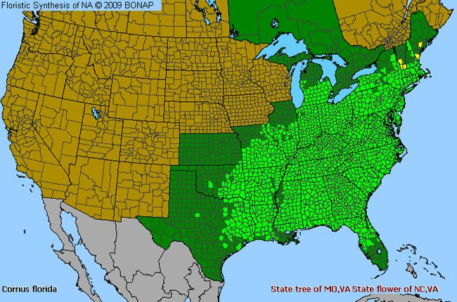 Allergies By County Map For Flowering Dogwood