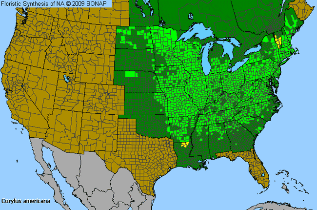 Allergies By County Map For American Hazelnut