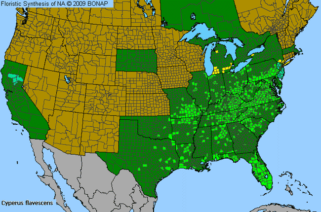 Allergies By County Map For Yellow Flat Sedge
