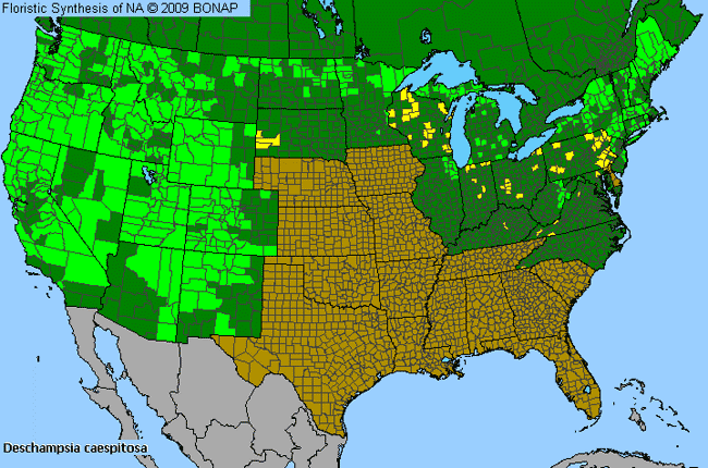 Allergies By County Map For Tufted Hair Grass