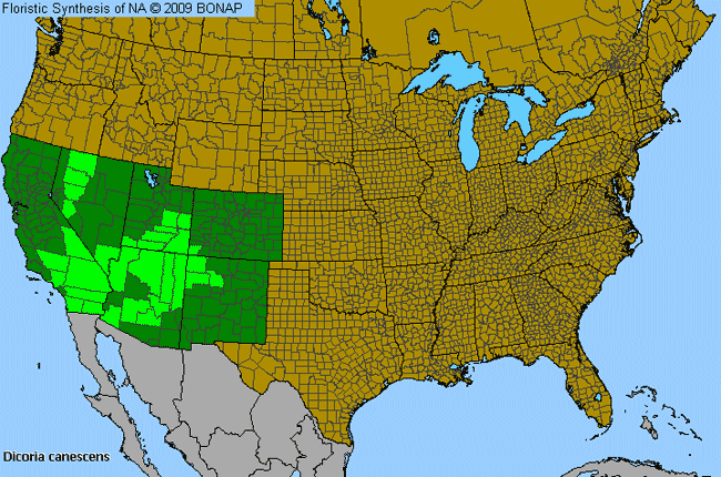 Allergies By County Map For Desert Twinbugs