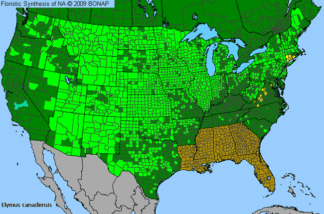 Allergies By County Map For Nodding Wild Rye