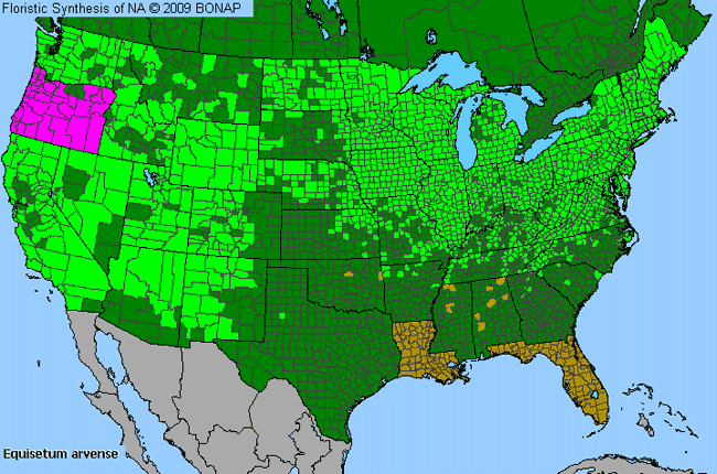 Allergies By County Map For Field Horsetail