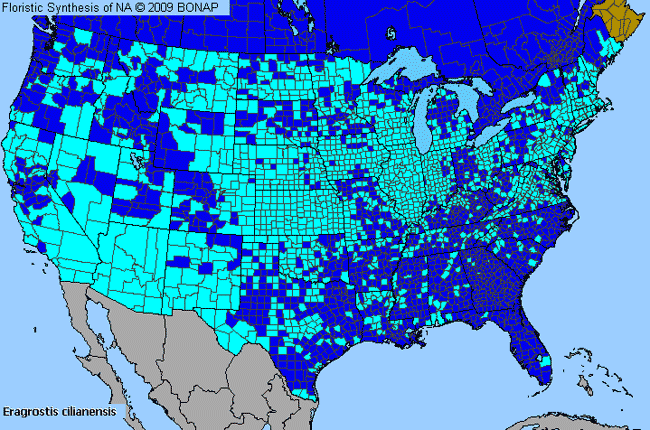 Allergies By County Map For Stink Grass