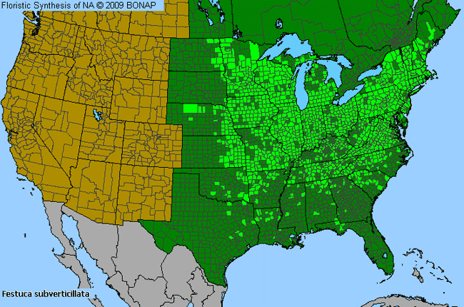 Allergies By County Map For Nodding Fescue