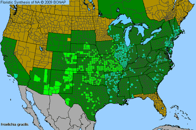 Allergies By County Map For Slender Snake-Cotton