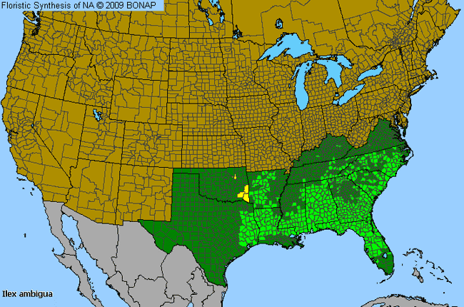 Allergies By County Map For Carolina Holly