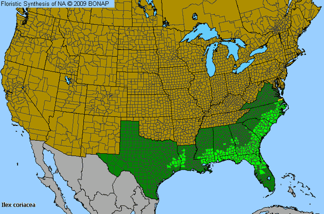 Allergies By County Map For Large Gallberry