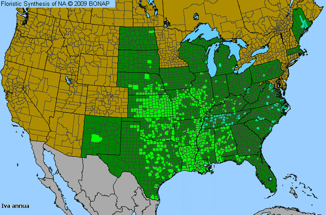 Allergies By County Map For Annual Marsh-Elder