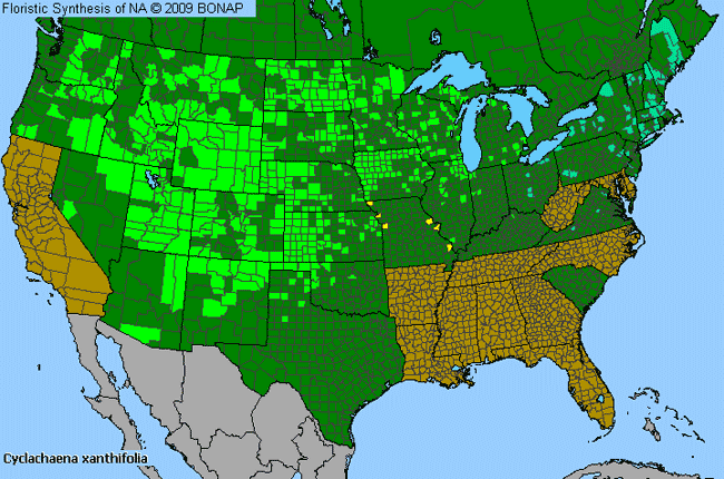 Allergies By County Map For Carelessweed