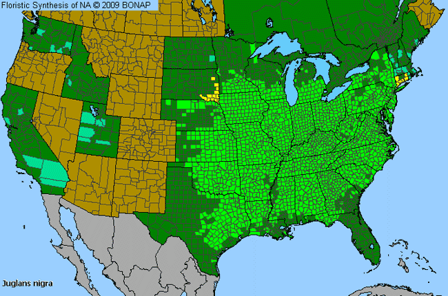 Allergies By County Map For Black Walnut