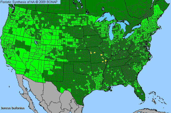 Allergies By County Map For Toad Rush