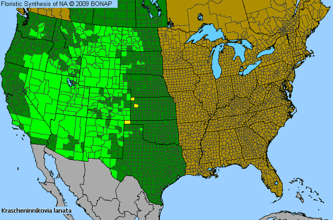 Allergies By County Map For Winterfat