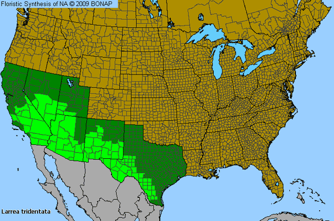 Allergies By County Map For Creosote-Bush