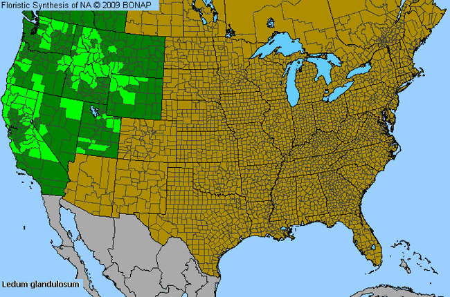 Allergies By County Map For Glandular Labrador-Tea