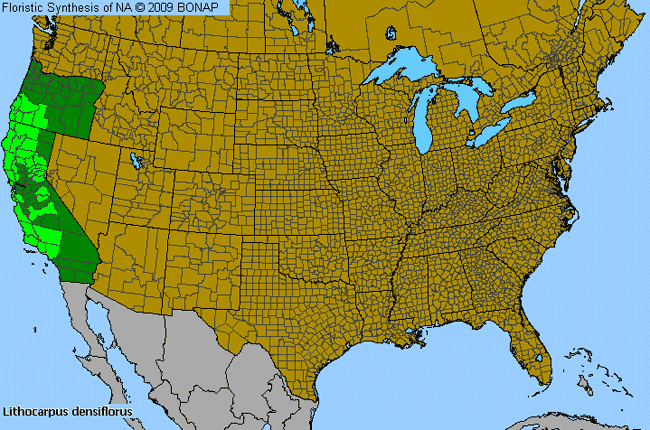 Allergies By County Map For Tan-Oak