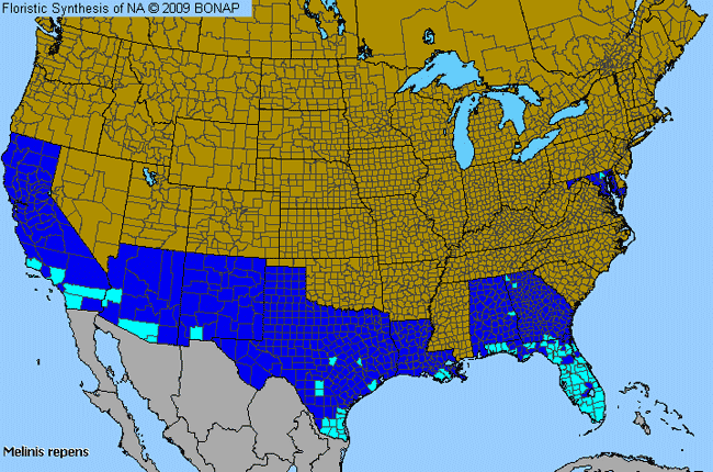 Allergies By County Map For Creeping Molasses Grass