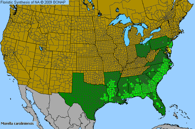 Allergies By County Map For Evergreen Bayberry