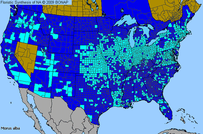 Allergies By County Map For White Mulberry