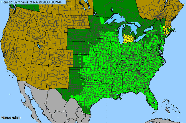 Allergies By County Map For Red Mulberry