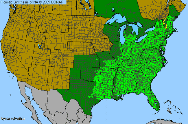 Allergies By County Map For Black Tupelo