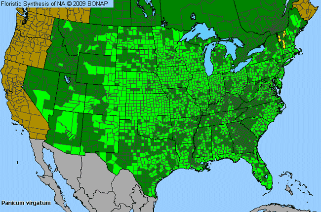 Allergies By County Map For Wand Panic Grass