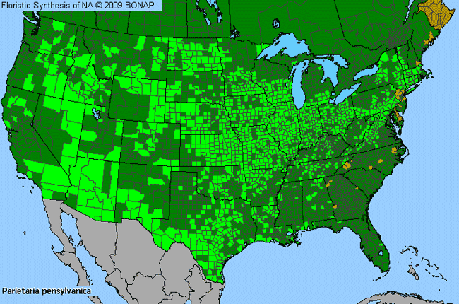 Allergies By County Map For Pennsylvania Pellitory