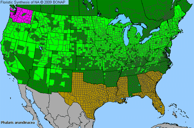 Allergies By County Map For Reed Canary Grass