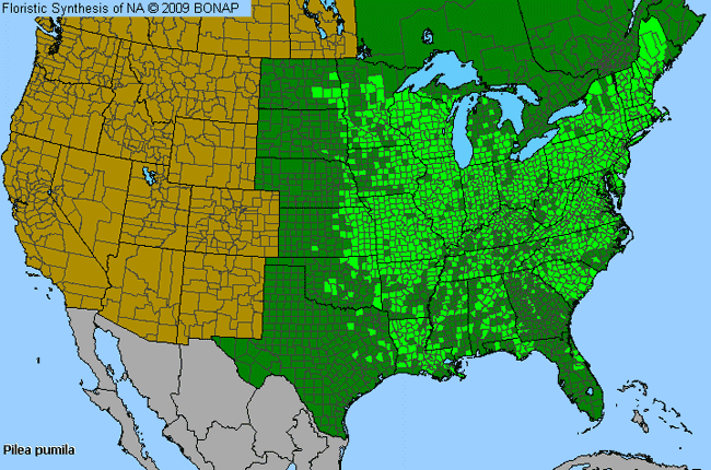 Allergies By County Map For Canadian Clearweed