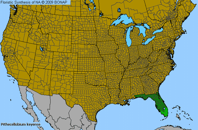 Allergies By County Map For Florida Keys Blackbead