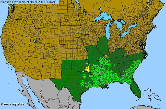 Allergies By County Map For Planertree